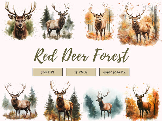 Red Deer Clipart set, Red Deer Clipart Bundle png, Watercolor Red Deer Clipart, Reed Deer Forest Clipart, Instant Download