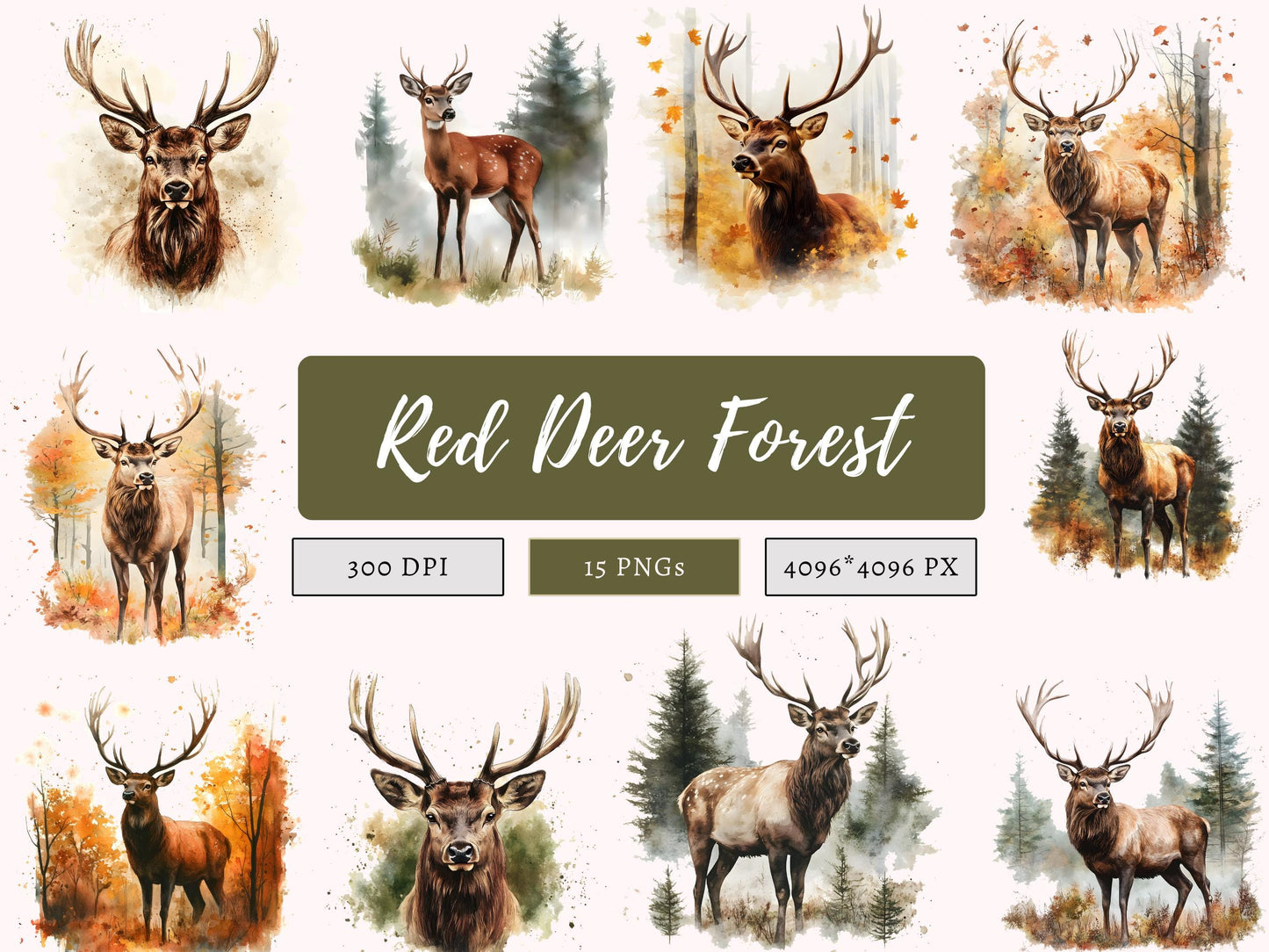 Rothirsch-Clipart-Set, Rothirsch-Clipart-Bundle (PNG), Rothirsch-Aquarell-Clipart, Schilfhirsch-Wald-Clipart, Sofort-Download