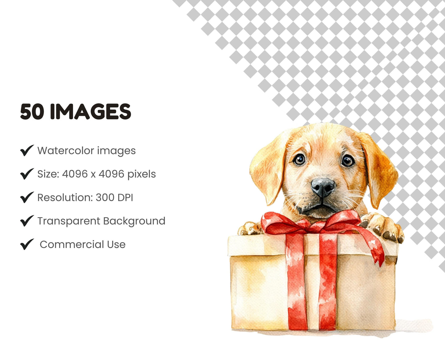 Watercolor Labrador Clipart png Bundle, 50 Labrador Clipart, Dog Clipart, Pet Clipart, Labrador Retriever Clipart, Dog png, Lab Clipart