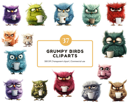 Watercolor Grumpy Birds Clipart Bundle, Nursery Decor (Digital Download)