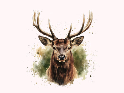 Rothirsch-Clipart-Set, Rothirsch-Clipart-Bundle (PNG), Rothirsch-Aquarell-Clipart, Schilfhirsch-Wald-Clipart, Sofort-Download