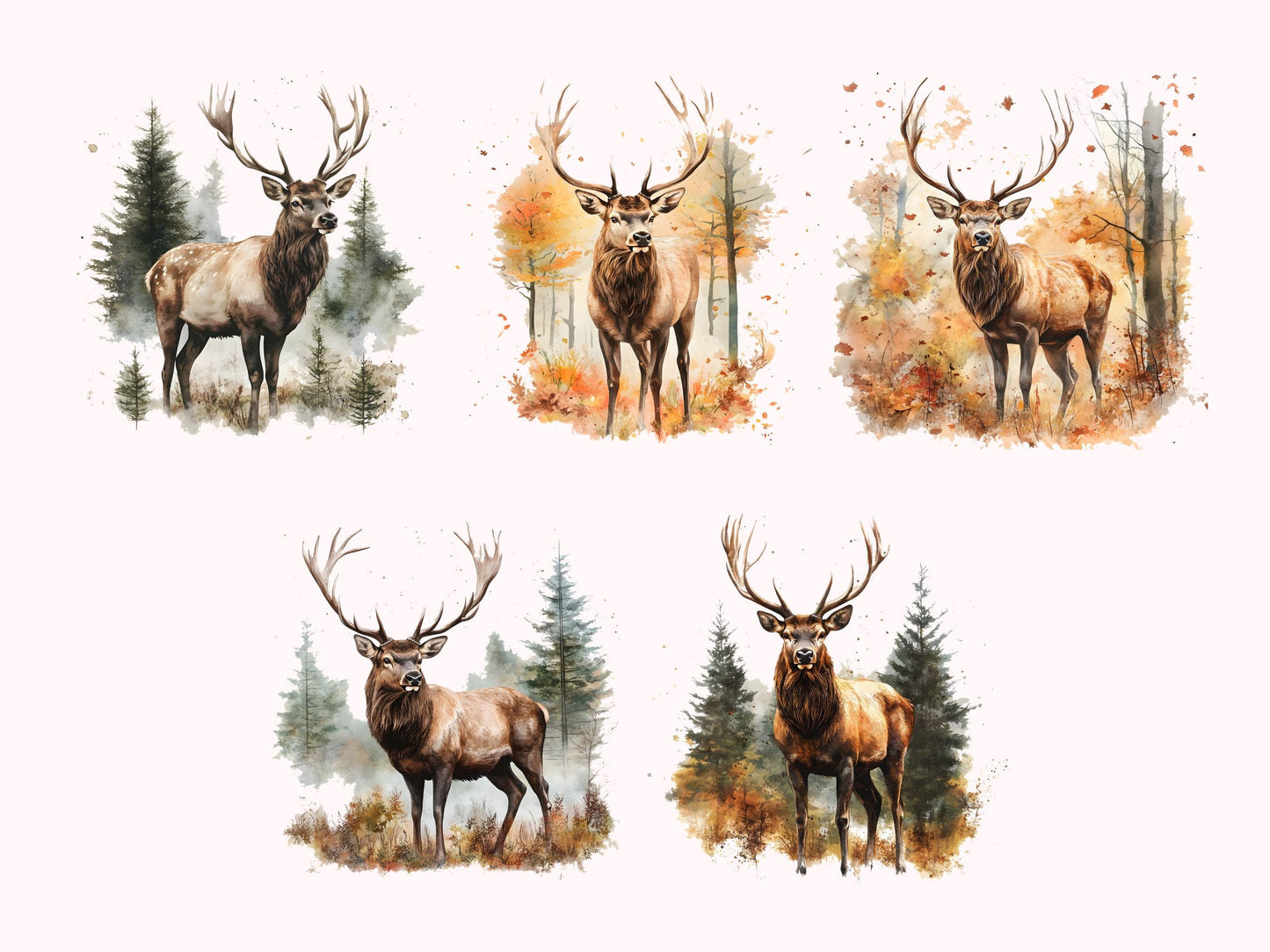 Rothirsch-Clipart-Set, Rothirsch-Clipart-Bundle (PNG), Rothirsch-Aquarell-Clipart, Schilfhirsch-Wald-Clipart, Sofort-Download