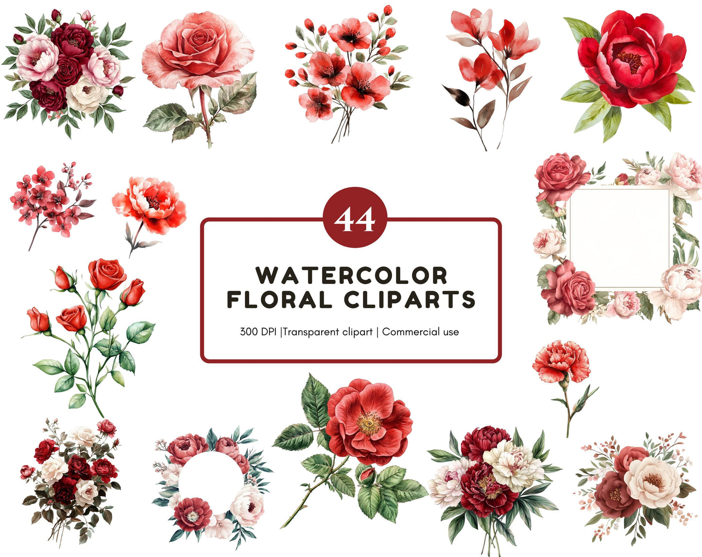 Rote Rose als Aquarell-Clipart, florales PNG (Digitaler Download)