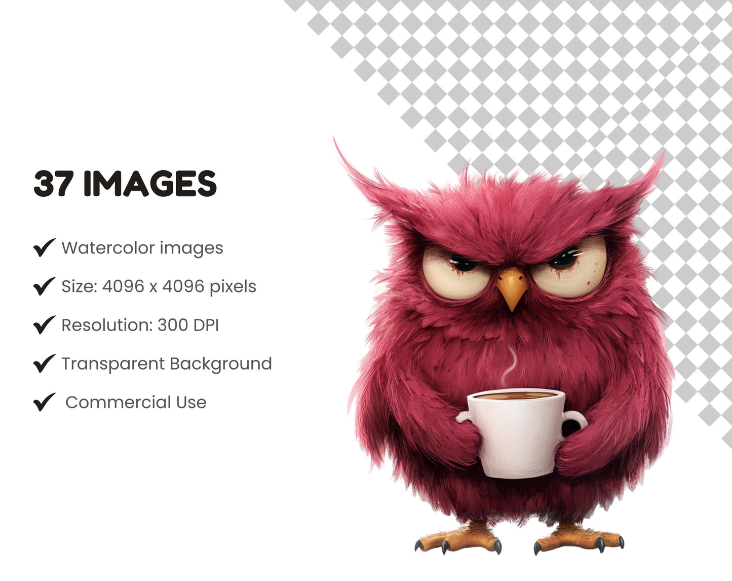 Watercolor Grumpy Birds Clipart Bundle, Nursery Decor (Digital Download)