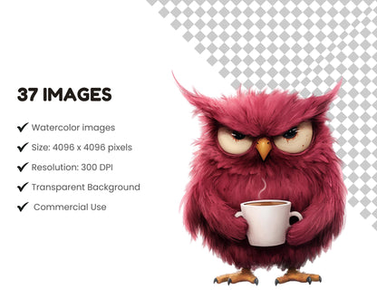 Watercolor Grumpy Birds Clipart Bundle, Nursery Decor (Digital Download)