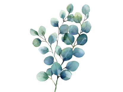 Aquarell-Eukalyptus-Clipart-Set, Botanische Grünpflanzen-Clipart (PNG), Silberdollar-Grünpflanzen-Clipart, Eukalyptus-PNG-Bundle