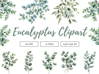Aquarell-Eukalyptus-Clipart-Set, Botanische Grünpflanzen-Clipart (PNG), Silberdollar-Grünpflanzen-Clipart, Eukalyptus-PNG-Bundle