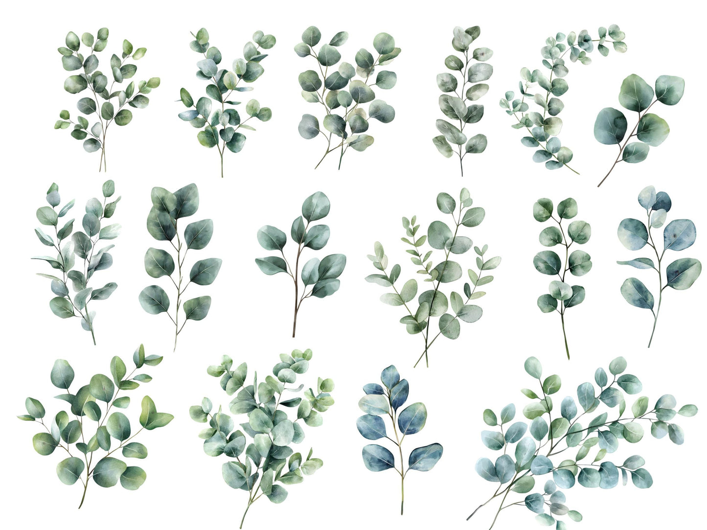 Aquarell-Eukalyptus-Clipart-Set, Botanische Grünpflanzen-Clipart (PNG), Silberdollar-Grünpflanzen-Clipart, Eukalyptus-PNG-Bundle
