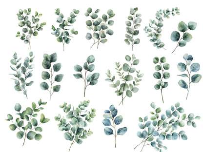 Aquarell-Eukalyptus-Clipart-Set, Botanische Grünpflanzen-Clipart (PNG), Silberdollar-Grünpflanzen-Clipart, Eukalyptus-PNG-Bundle