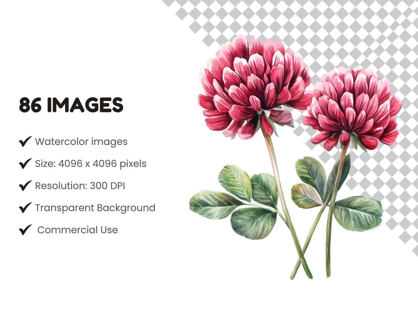 Watercolor Medical Herbs Clipart, Medical Herbs Clipart Bundle, Herbal Remedies Clipart, Medicinal Plants Clipart, Botanical Clipart