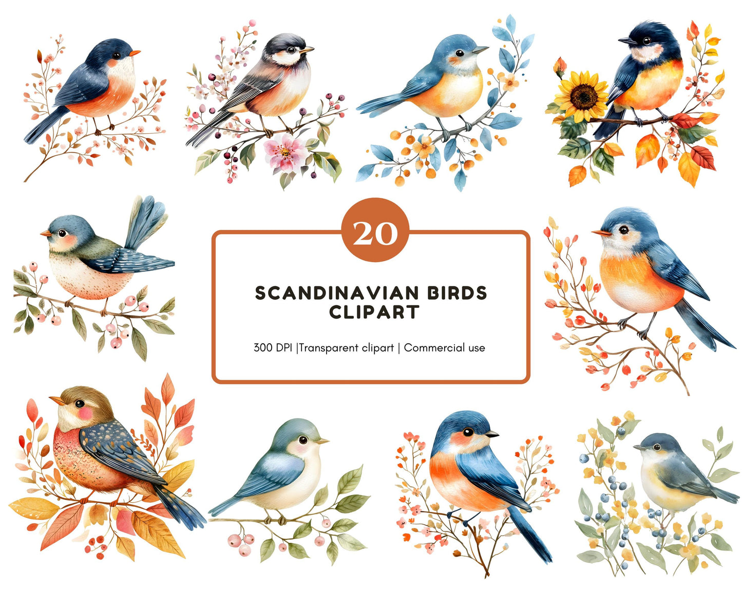 Scandinavian Birds Clipart Bundle, Watercolor Birds Clipart png, Floral Bird Clipart, Watercolor Scandinavian Bird png, Instant Download