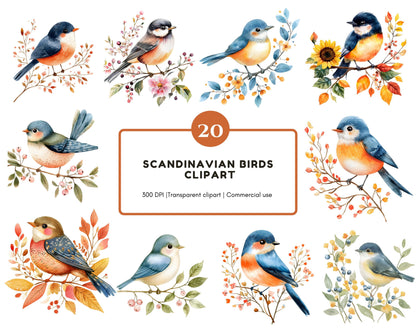 Scandinavian Birds Clipart Bundle, Watercolor Birds Clipart png, Floral Bird Clipart, Watercolor Scandinavian Bird png, Instant Download