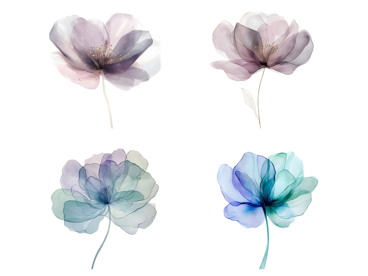 Abstraktes Blumen-Clipart-Bundle, Aquarell-Blumen-Clipart, Blumen-PNG, Trockenblumen-PNG, Transparentes Blumen-Set, Sofort-Download
