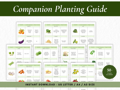 Companion Planting Guide Printable, Garden Planning Chart (Digital Download)