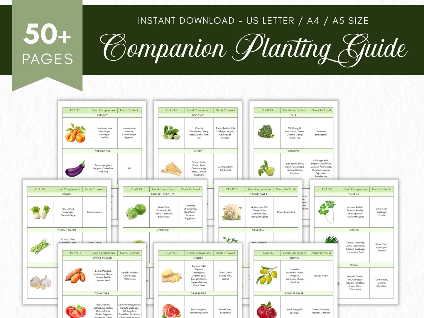 Companion Planting Guide Printable, Garden Planning Chart (Digital Download)