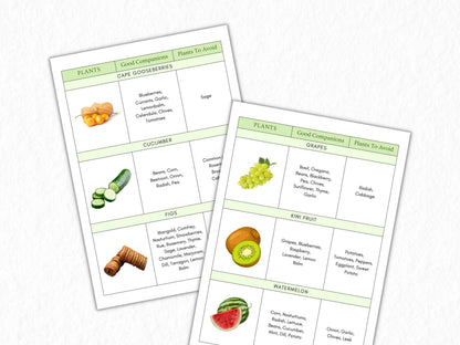 Companion Planting Guide Printable, Garden Planning Chart (Digital Download)