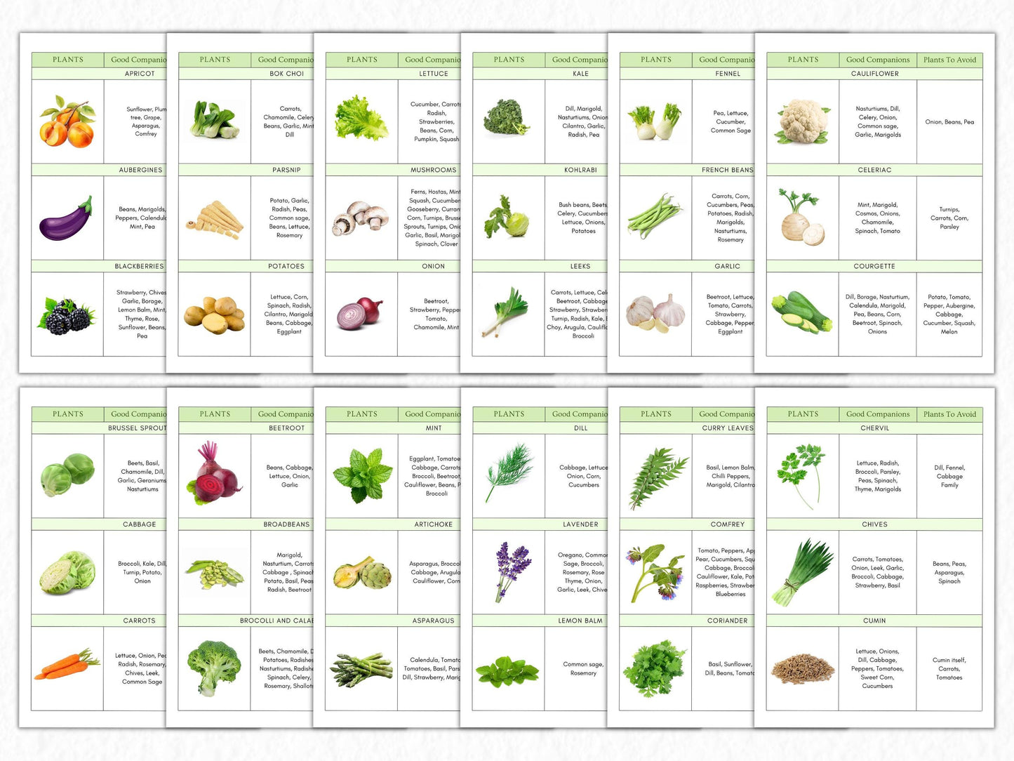 Companion Planting Guide Printable, Garden Planning Chart (Digital Download)