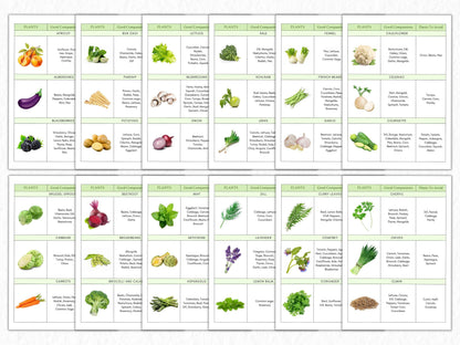 Companion Planting Guide Printable, Garden Planning Chart (Digital Download)