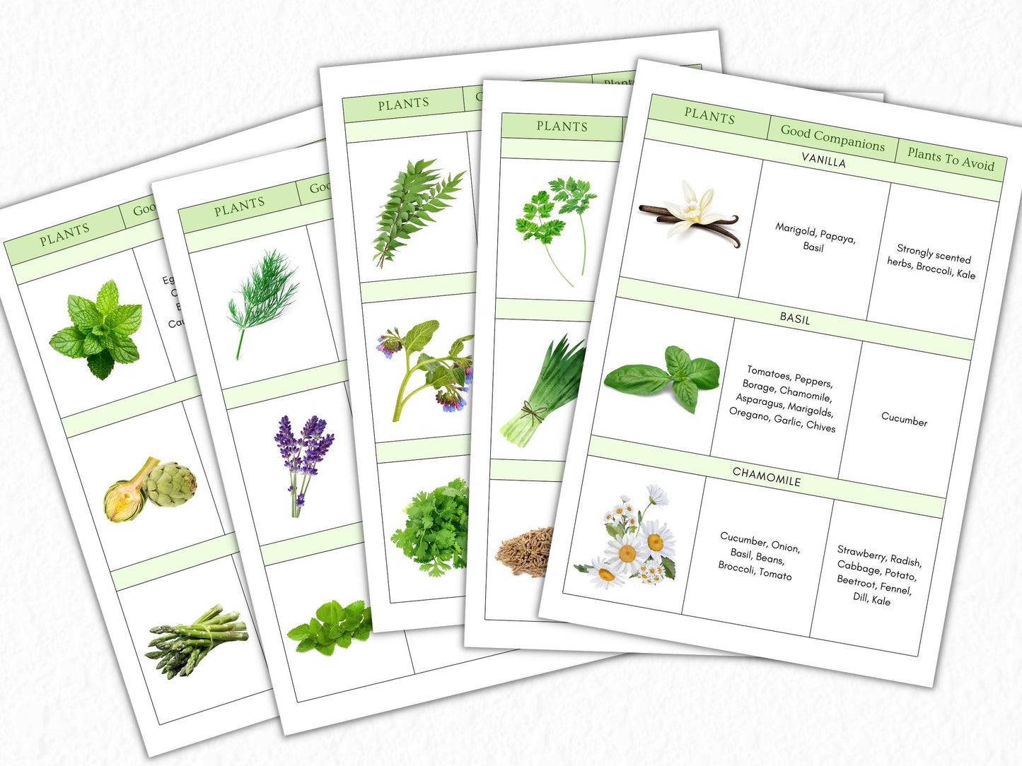Companion Planting Guide Printable, Garden Planning Chart (Digital Download)