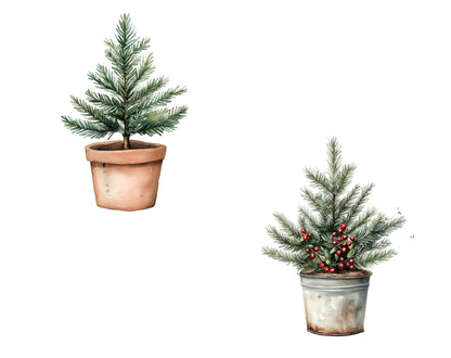 Watercolor Potted Christmas Clipart, Potted Christmas Tree Clipart Bundle png, Christmas Pot Clipart, Christmas Tree Clipart png