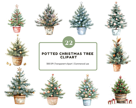 Watercolor Potted Christmas Clipart, Potted Christmas Tree Clipart Bundle png, Christmas Pot Clipart, Christmas Tree Clipart png