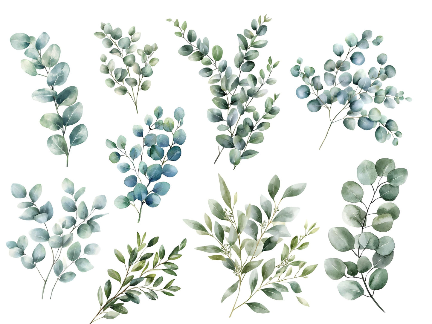 Aquarell-Eukalyptus-Clipart-Set, Botanische Grünpflanzen-Clipart (PNG), Silberdollar-Grünpflanzen-Clipart, Eukalyptus-PNG-Bundle