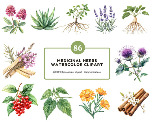 Watercolor Medical Herbs Clipart, Medical Herbs Clipart Bundle, Herbal Remedies Clipart, Medicinal Plants Clipart, Botanical Clipart