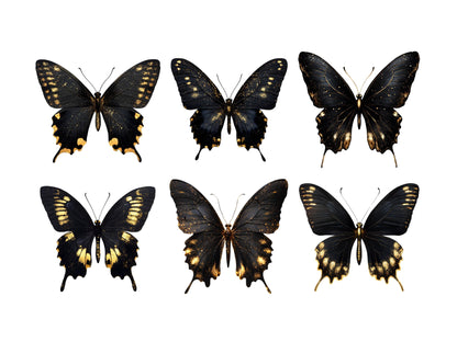 Schmetterlings-Cliparts in Schwarz und Gold, Schmetterlings-Clipart-Bundle (PNG), Aquarell-Schmetterlings-Cliparts, goldene, funkelnde Schmetterlings-Cliparts