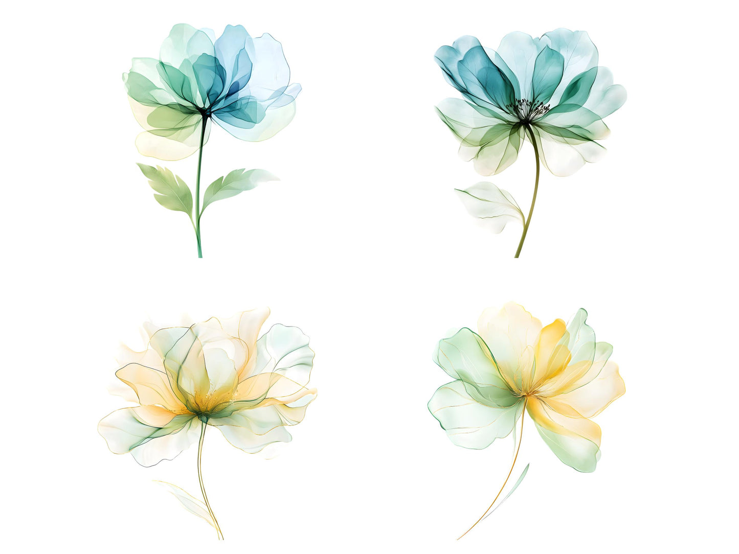 Abstraktes Blumen-Clipart-Bundle, Aquarell-Blumen-Clipart, Blumen-PNG, Trockenblumen-PNG, Transparentes Blumen-Set, Sofort-Download
