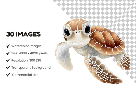 Watercolor Ocean Animal Clipart Bundle, Cute Ocean Animal Clipart png, Sealife Clipart, Underwater Clipart, Under The Sea Clipart png
