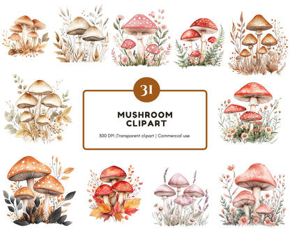 Pilz-Clipart-Bundle (PNG), Aquarell-Pilz-Clipart, Blumen-Pilz-Clipart (PNG), Zauberpilz-Clipart, Wildpilz-Clipart (PNG)