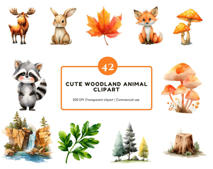 Ensemble d'images clipart d'animaux de la forêt à l'aquarelle, images clipart d'animaux mignons de la forêt (PNG), animaux de la forêt (PNG), animaux de la forêt (PNG), images clipart d'animaux mignons (PNG)