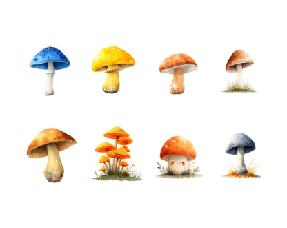 Mushroom Clipart png Bundle, Woodland Mushroom Clipart png, Mushrooms Clipart, Magic Mushroom Clipart, Red Mushroom Clipart png