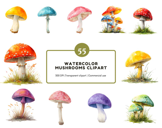 Mushroom Clipart png Bundle, Woodland Mushroom Clipart png, Mushrooms Clipart, Magic Mushroom Clipart, Red Mushroom Clipart png