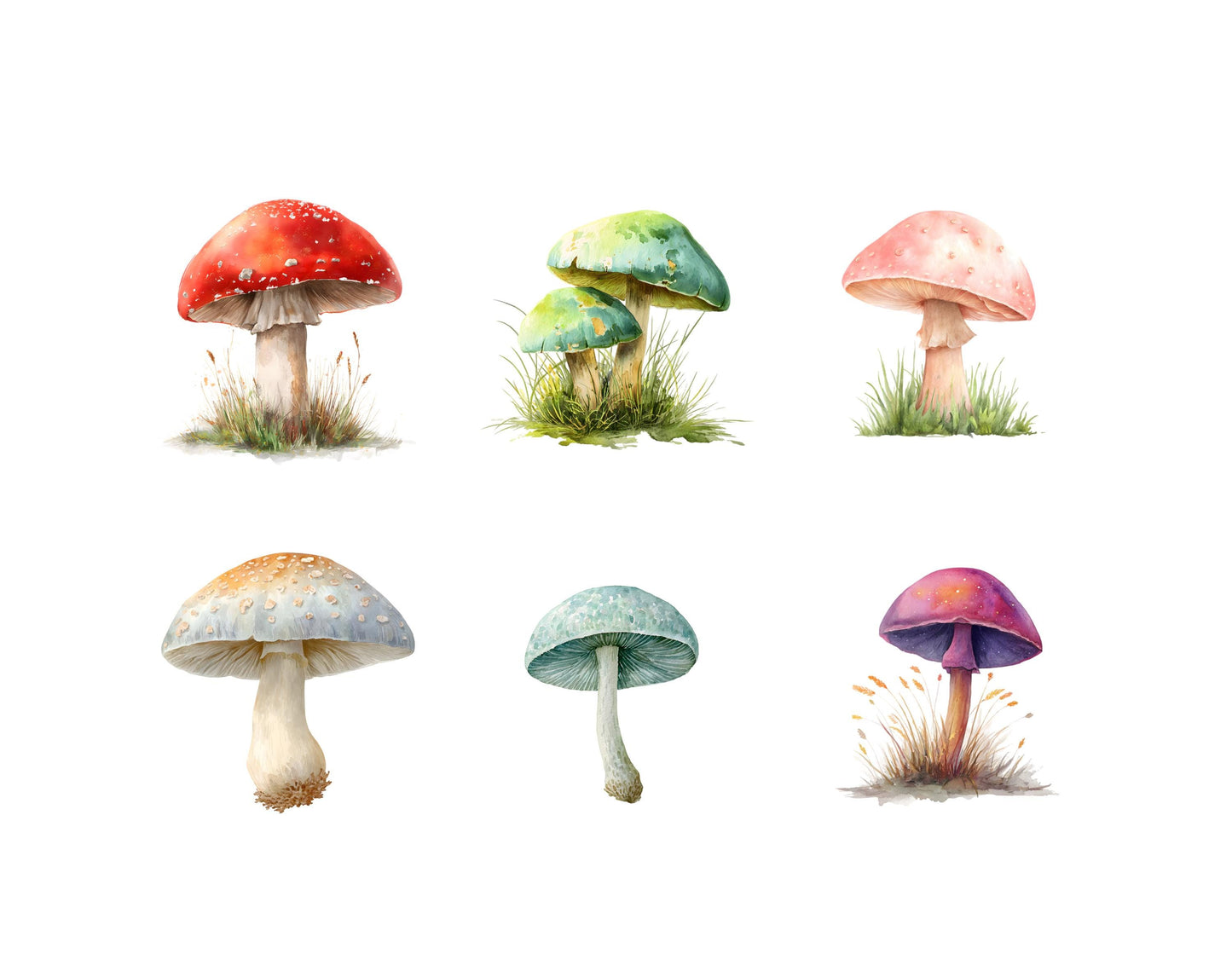 Mushroom Clipart png Bundle, Woodland Mushroom Clipart png, Mushrooms Clipart, Magic Mushroom Clipart, Red Mushroom Clipart png