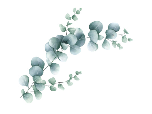 Watercolor Leaf Border Clipart png, Leaf Border Clipart Set, Wedding Foliage Border Clipart, Green Foliage Border Clipart, Instant Download