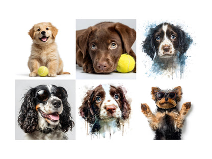 Hunde- und Welpen-Clipart-Bundle (PNG), Niedliche Welpen-Clipart, Coole Hunde-Clipart (PNG), Hochwertiges Hunde- und Welpen-Clipart-Bundle (PNG)