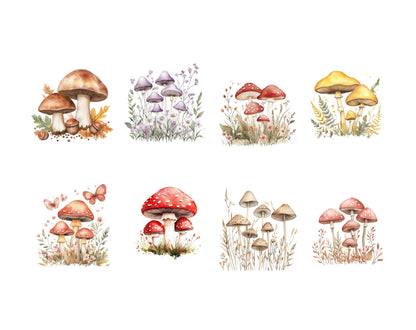 Pilz-Clipart-Bundle (PNG), Aquarell-Pilz-Clipart, Blumen-Pilz-Clipart (PNG), Zauberpilz-Clipart, Wildpilz-Clipart (PNG)