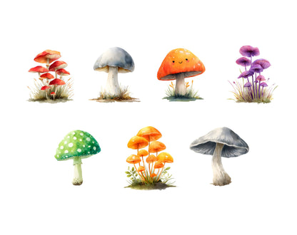 Mushroom Clipart png Bundle, Woodland Mushroom Clipart png, Mushrooms Clipart, Magic Mushroom Clipart, Red Mushroom Clipart png