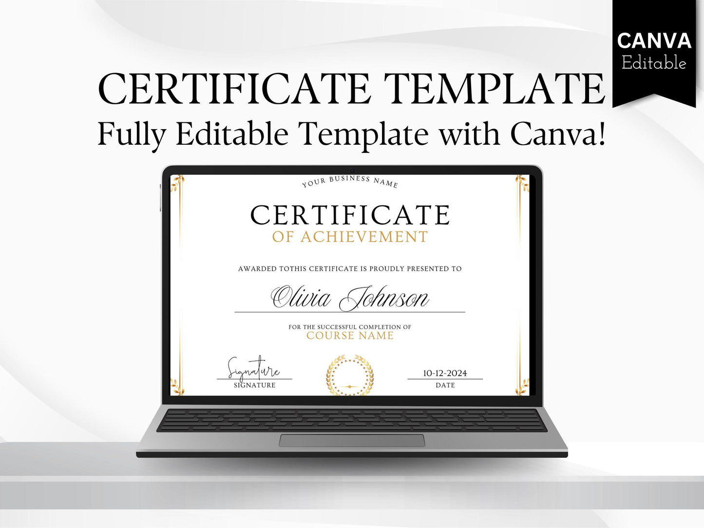 Editable Certificate Template: Professional Recognition Award (Digital Download)