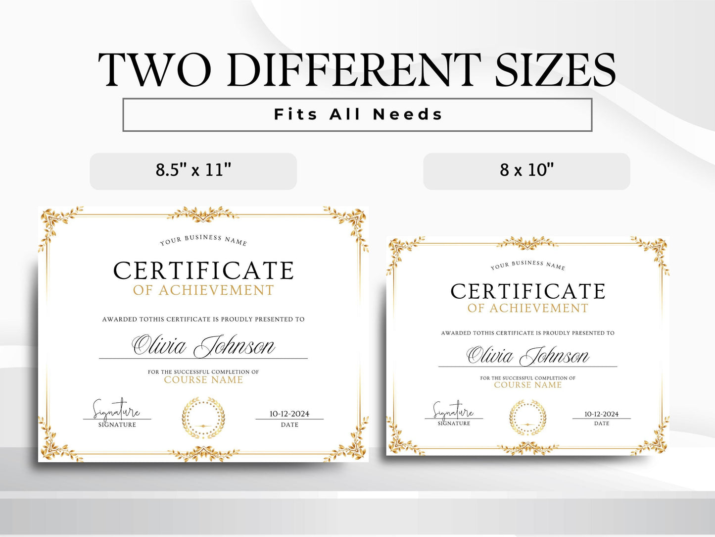 Editable Certificate Template: Professional Recognition Award (Digital Download)