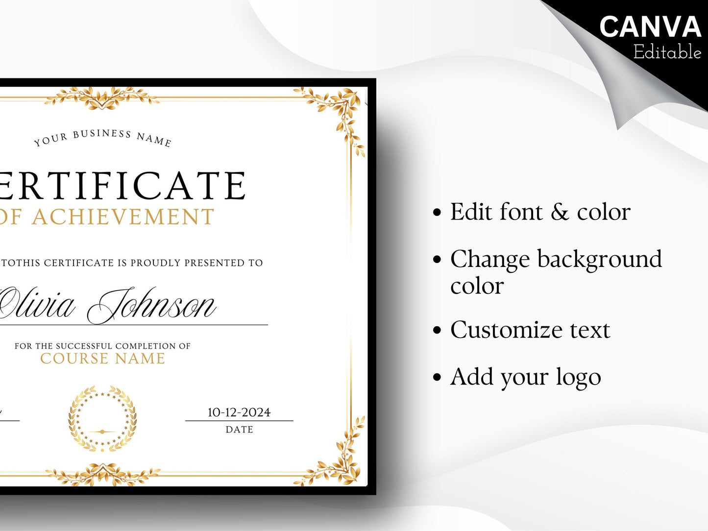 Editable Certificate Template: Professional Recognition Award (Digital Download)