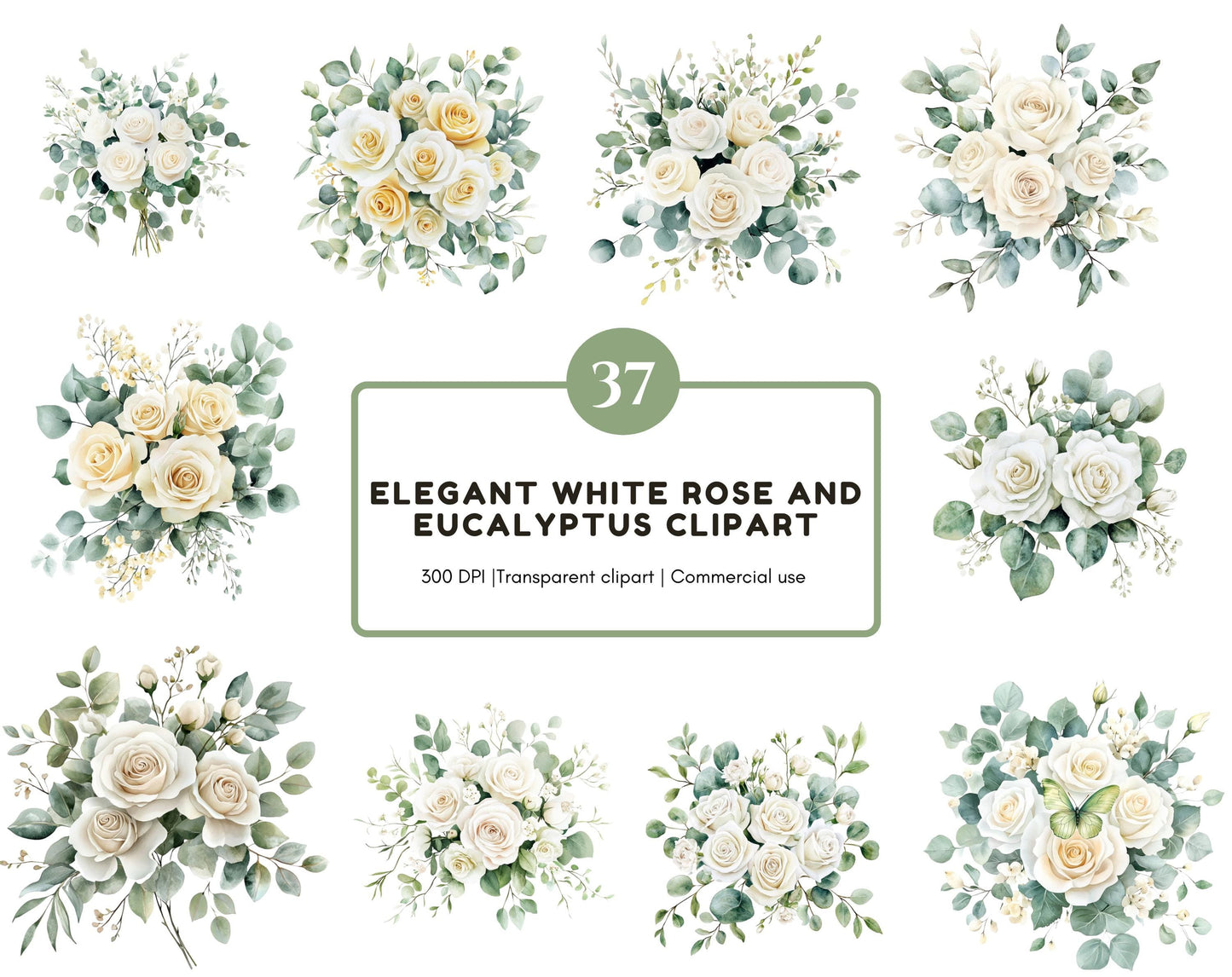 Watercolor White Rose Clipart Bundle, Eucalyptus Clipart png, White Rose And Eucalyptus Clipart, Wedding Floral Clipart, Rose Bouquet png