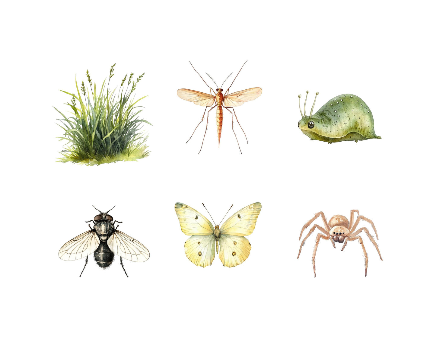 Ensemble d'images clipart d'insectes et d'insectes, insectes png, clipart d'insectes aquarelle, clipart d'insectes, clipart d'insectes mignons, insectes mignons png, petites bêtes rampantes png