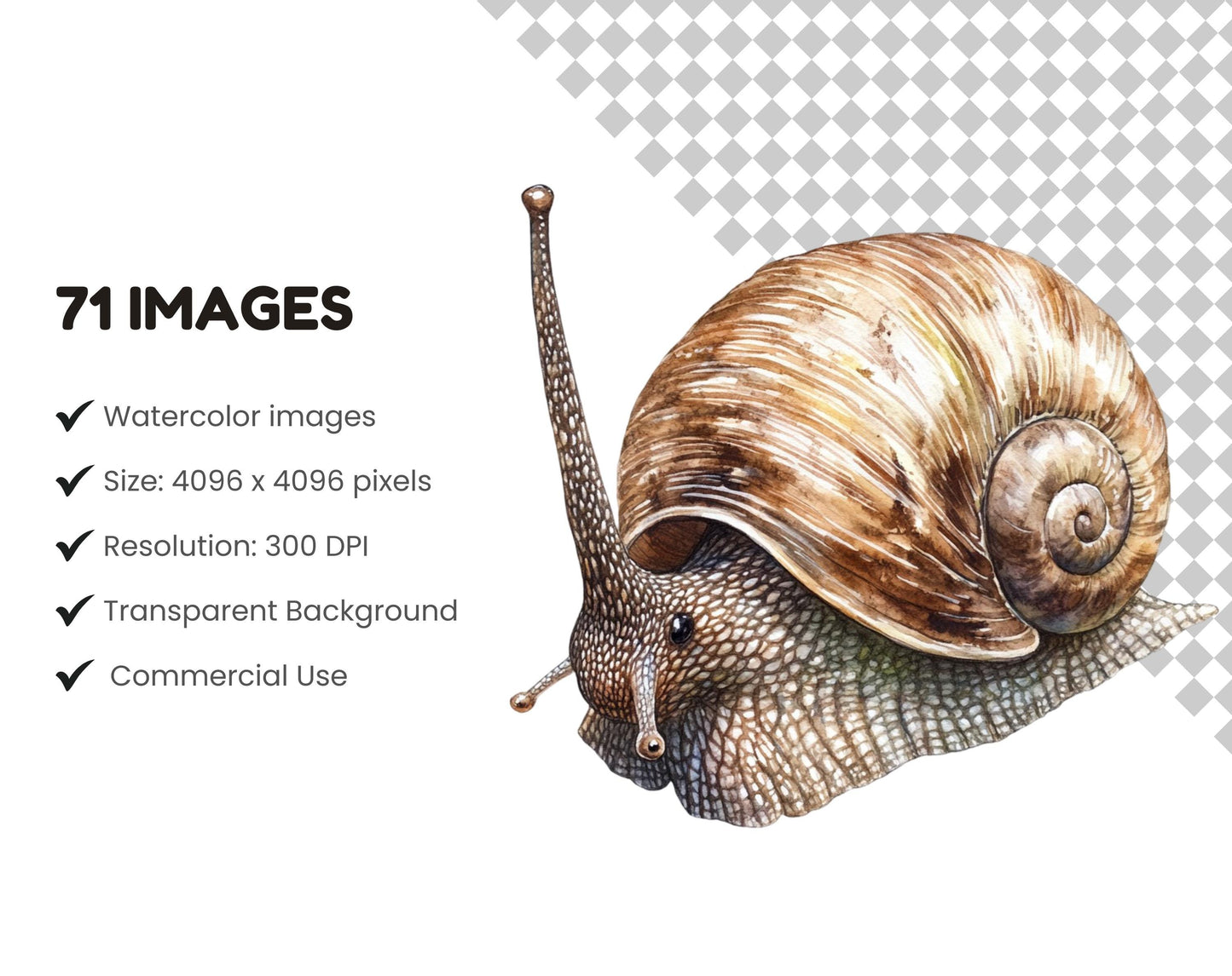 Ensemble d'images clipart d'insectes et d'insectes, insectes png, clipart d'insectes aquarelle, clipart d'insectes, clipart d'insectes mignons, insectes mignons png, petites bêtes rampantes png