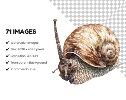 Ensemble d'images clipart d'insectes et d'insectes, insectes png, clipart d'insectes aquarelle, clipart d'insectes, clipart d'insectes mignons, insectes mignons png, petites bêtes rampantes png