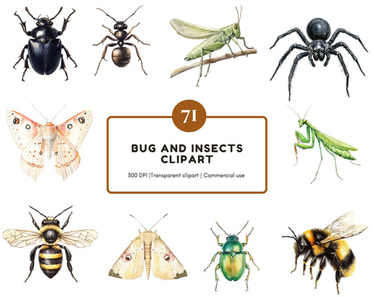 Bug And Insect Clipart Bundle, Insect png, Watercolor Bug Clipart, Insect Clipart, Cute Bug Clipart, Cute Insects png, Creepy Crawlies png