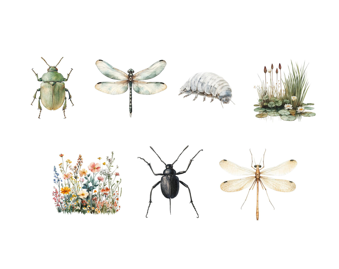 Ensemble d'images clipart d'insectes et d'insectes, insectes png, clipart d'insectes aquarelle, clipart d'insectes, clipart d'insectes mignons, insectes mignons png, petites bêtes rampantes png