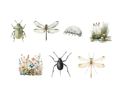 Ensemble d'images clipart d'insectes et d'insectes, insectes png, clipart d'insectes aquarelle, clipart d'insectes, clipart d'insectes mignons, insectes mignons png, petites bêtes rampantes png