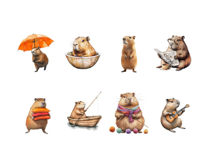 Quirky Capybara Clipart Bundle, Cute Capybara png, Watercolor Capybara Clipart, Whimsical Capybara png, Funny Capybara Clipart Bundle